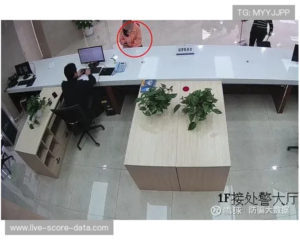 玩球大数据分析软件电子真人防骗避坑技巧